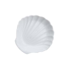 Avet Fuente Concha 12,5 cm (6 Unidades)